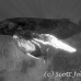 whale_humpback_sb_h_0812_dom0819_bw.jpg